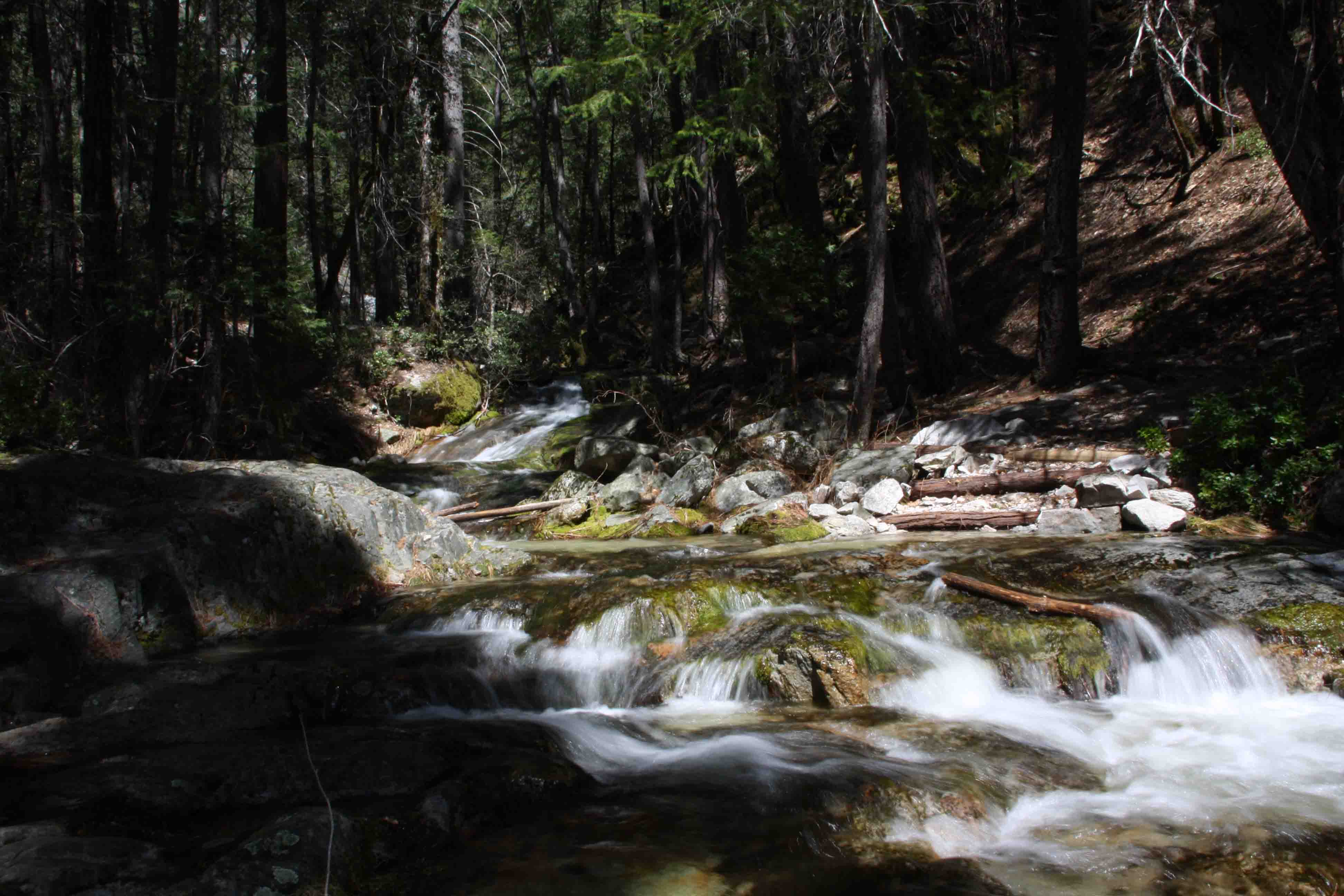 creek on pacific crest trail