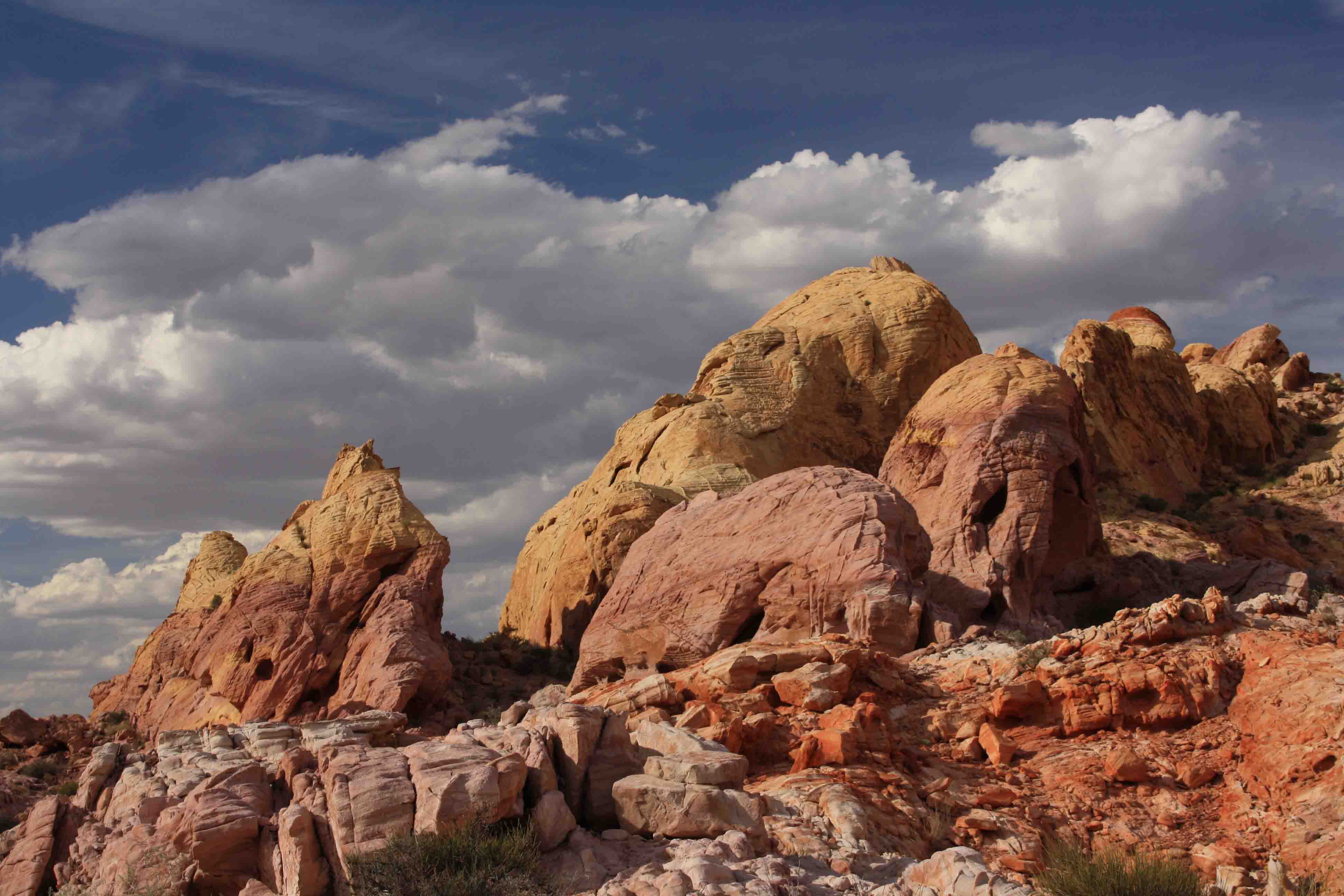 rocks on white dome trail