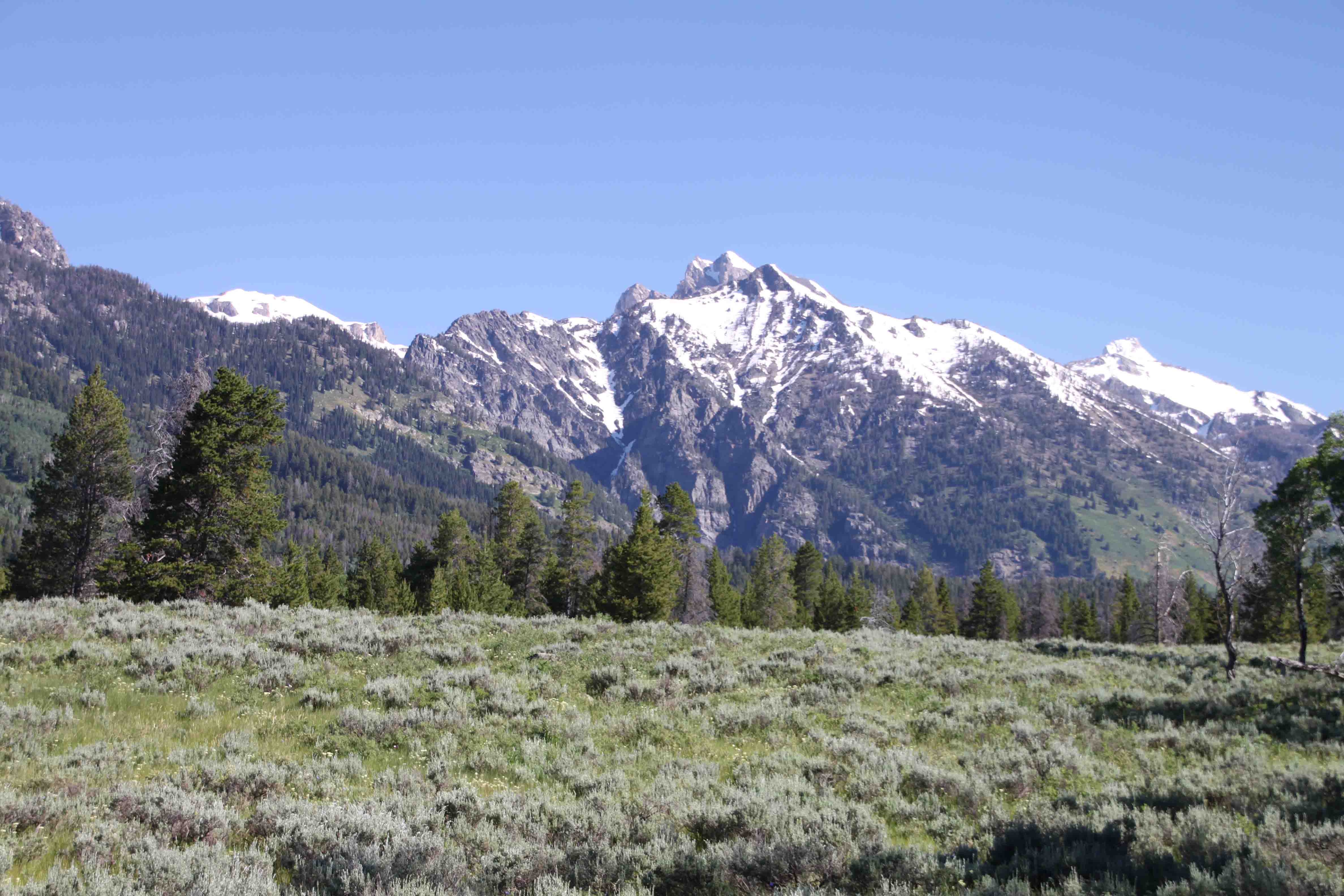 views in grand teton np