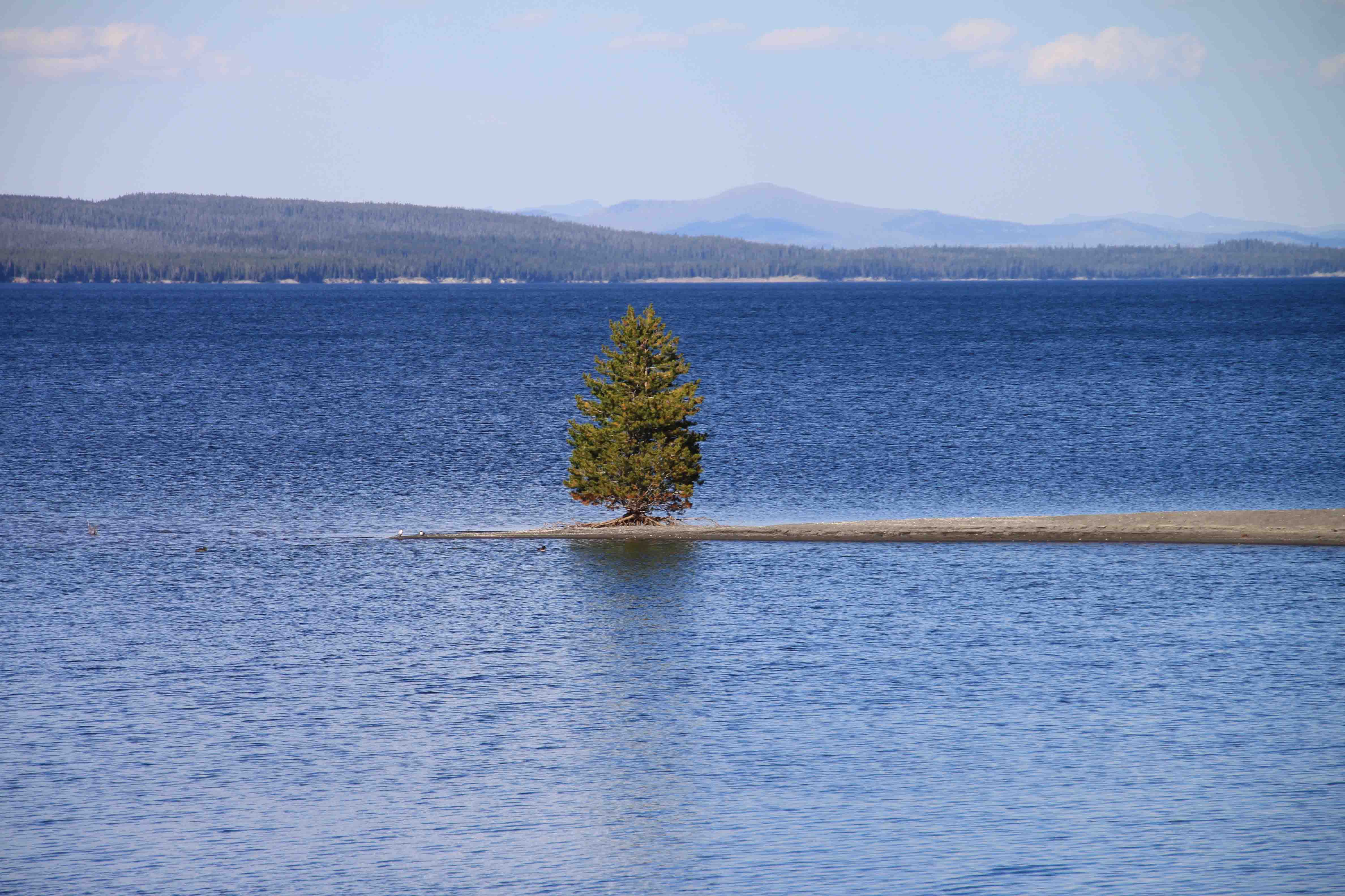 yellowstone lake