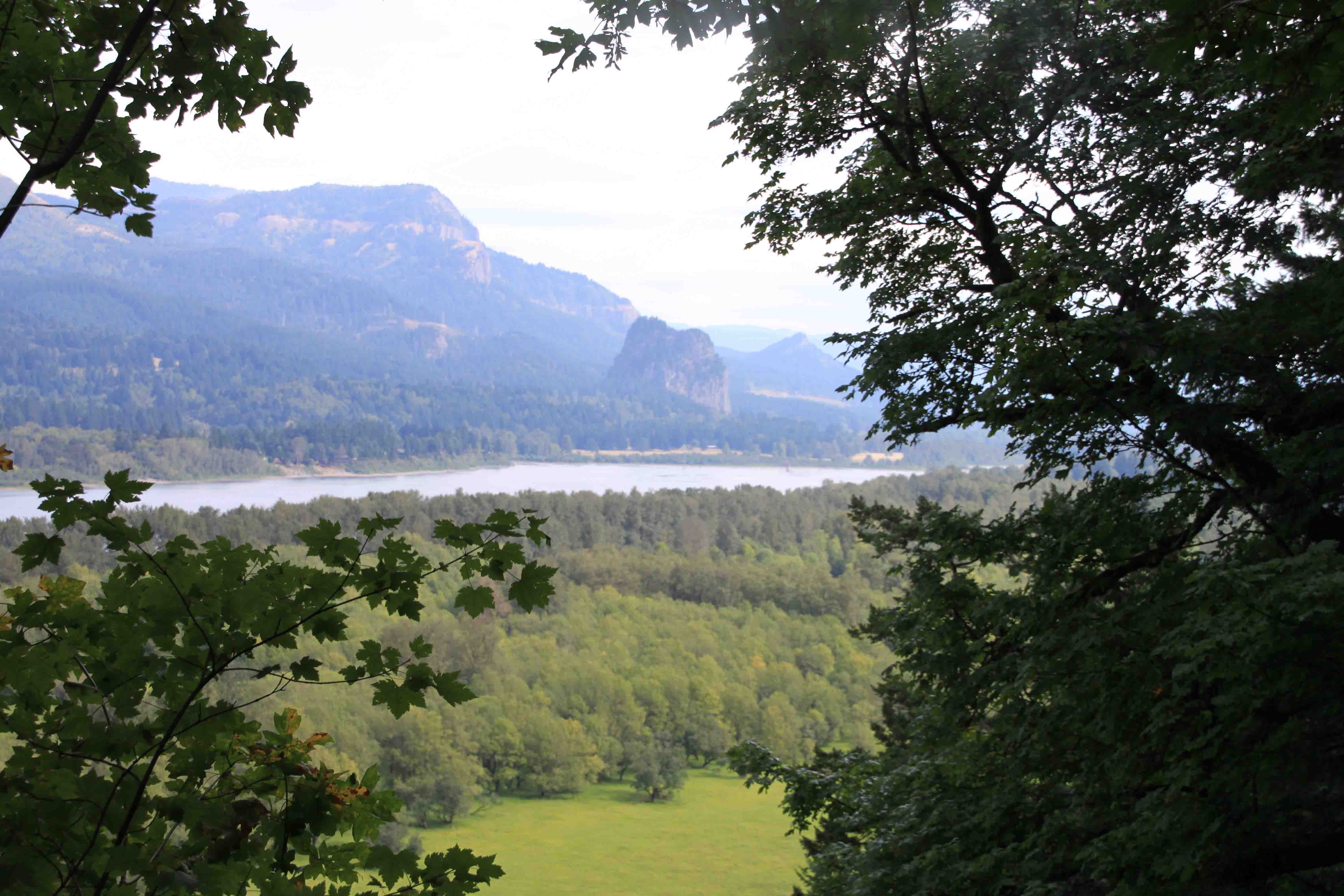 view from ponytail falls