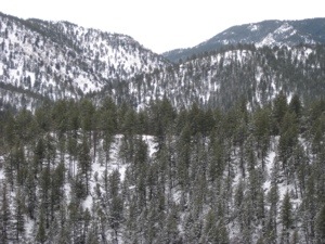 betasso preserve