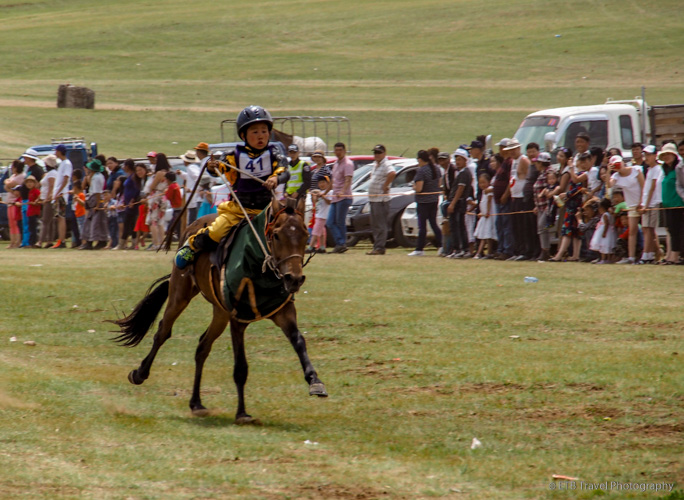 horse culture in mongolia