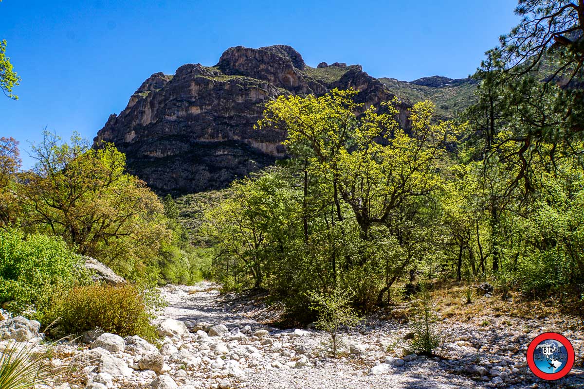 McKittrick Canyon Trail