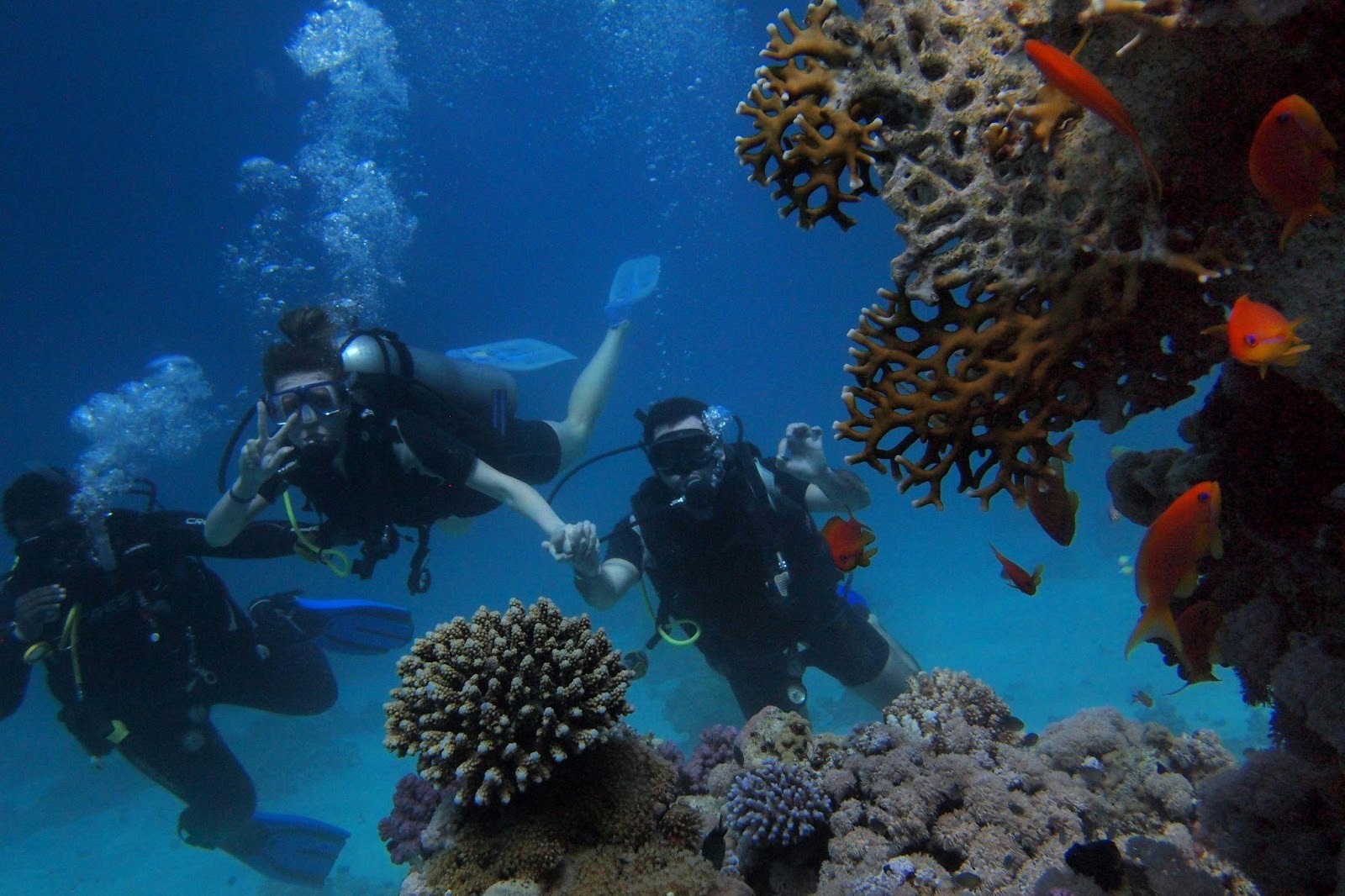 Diving in the Red Sea